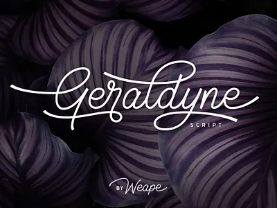 Geraldyne Script Font design display font elegant font font font design fonts graphic design lettering logo fonts monoline font quotes retro font script font script fonts script lettering title typeface typefaces typography vintage font