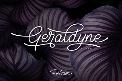 Geraldyne Script Font design display font elegant font font font design fonts graphic design lettering logo fonts monoline font quotes retro font script font script fonts script lettering title typeface typefaces typography vintage font