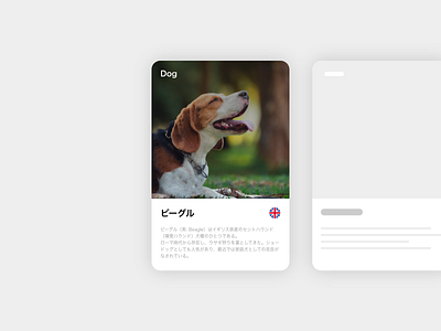 Info Card dailyui 045