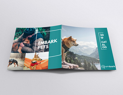 Catalog design brand brochure design catalog catalog design design graphic graphic design label