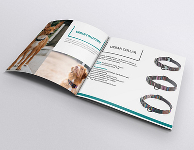Catalog design brand catalog design design product