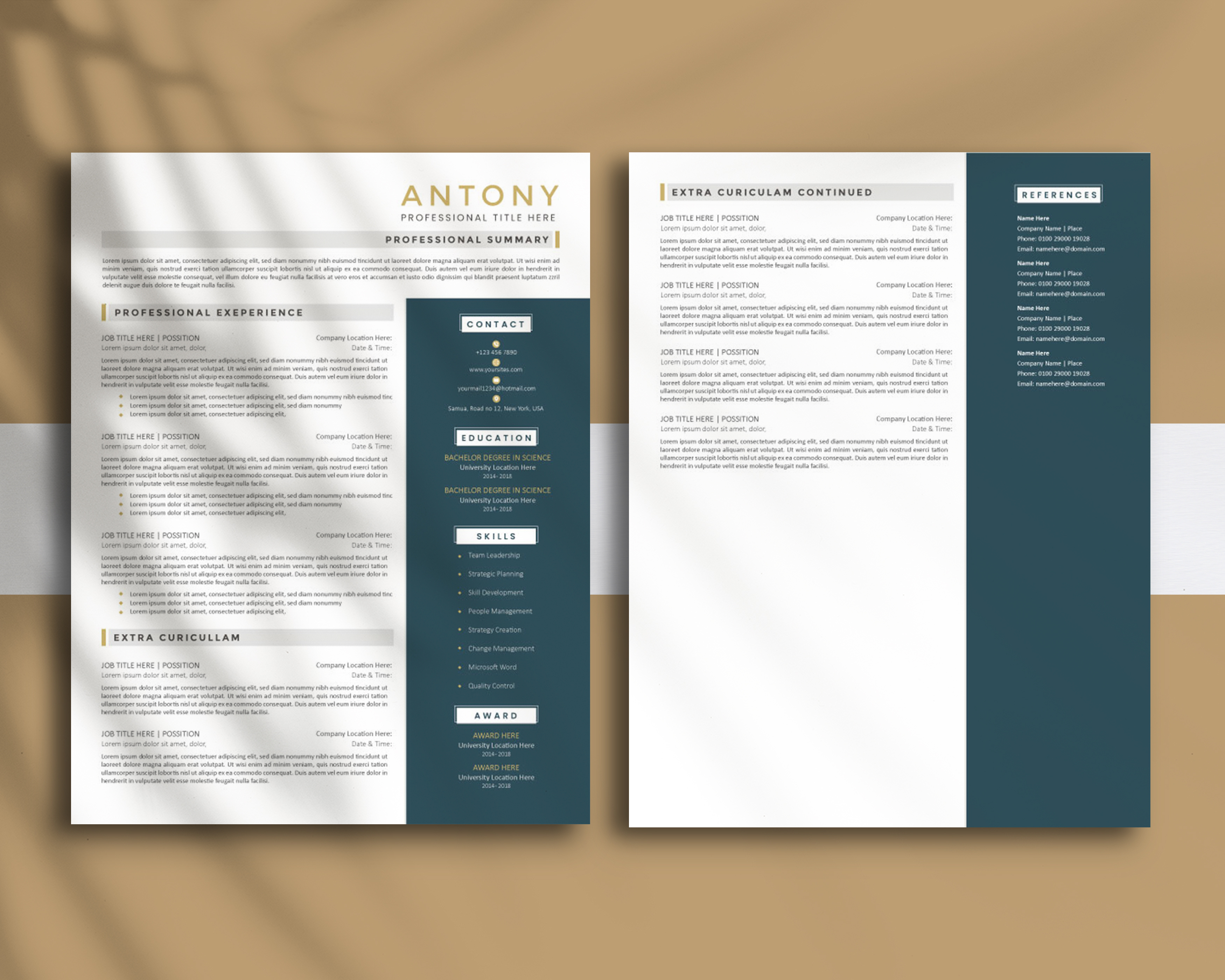 Professional, Modern Resume Design Template for Word resume formatting