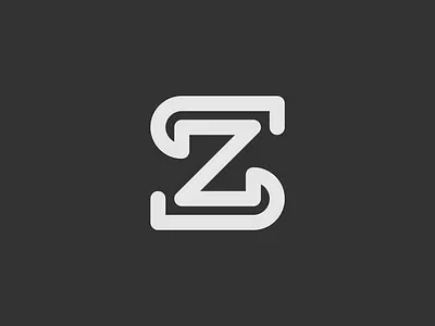 ZS branding branding design business creative logo idenity lettering lettermark logo design logo grid logotype minimal monogram products s logo smart logo vector vector icon mark symbol web web design z logo