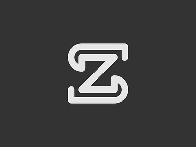 ZS branding branding design business creative logo idenity lettering lettermark logo design logo grid logotype minimal monogram products s logo smart logo vector vector icon mark symbol web web design z logo