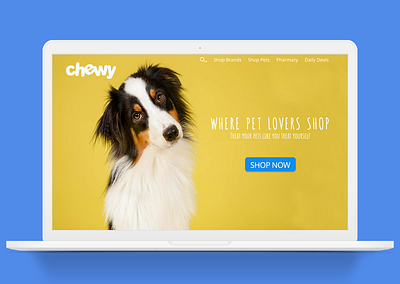 Chewy Landing Page - Figma Exercise cat chewy chewy homepage chewy website dog exercise figma homepage julia myers juliamyers landingpage pet petpage petstore scroll