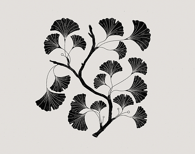 Black leaves black botanic botanical graphics illustration illustration art leaves leaves logo plants