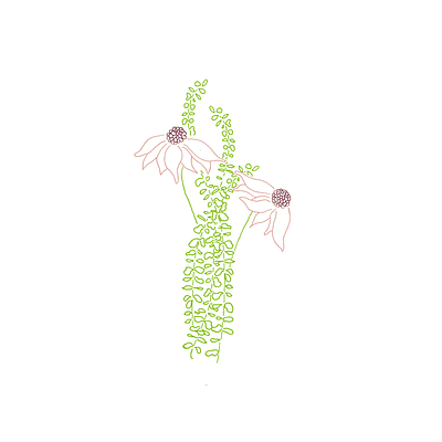 Eucalyptus Bouquet floral flower illustration pen and ink