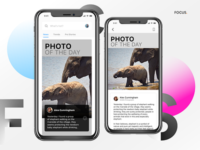 FOCUS. content design design challenge design process design thinking figma news feed photography photos ui design ui design challenge ux design