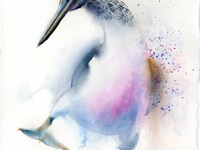 Blue-footed booby aquarell aquarelle bird bird art blue funny bird painting pink watercolor watercolor art watercolor illustration watercolor painting watercolour