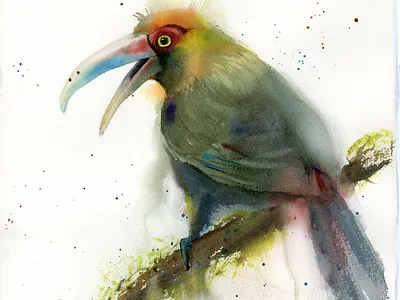 Green-billed toucan - watercolor painting aquarell aquarelle bird art bird illustration green painting watercolor watercolor art watercolor illustration watercolor painting watercolorpainting watercolour