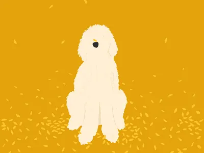Fall Doodle animal dog doodle fall leaf leaves poodle puppy
