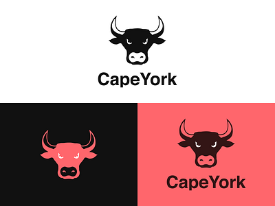 Cape York Logo Design animal logo animal logo design animal symbol branding bull bull design bull logo capeyork identity logo logo design logo designer logo mark logo mark design logo mark symbol logodesign logojoy logos logotype red logo
