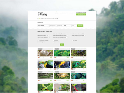 Exotic Sitting website - List page (Personal Project) animals design nac ui ux web webdesigns website