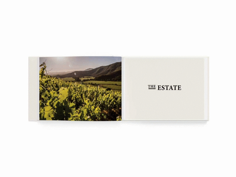 Ritual Wines Brand Book book bookdesign brand book estate grapes wine wine book winemaker