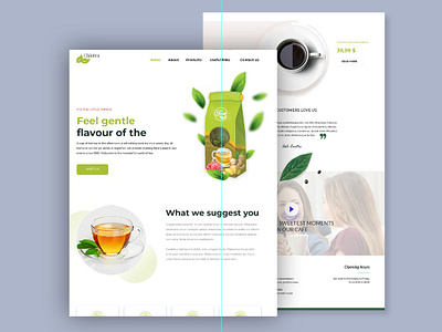 Landing Page user interface