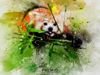 Premio Watercolor Photoshop Action action artwork design download drawing graphics illustration painting photo to painting photoeffect photoshop photoshop action plugin premio sketch watercolor
