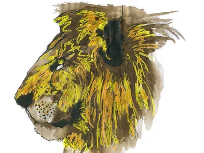 Lion art illustration ink paper art pastels