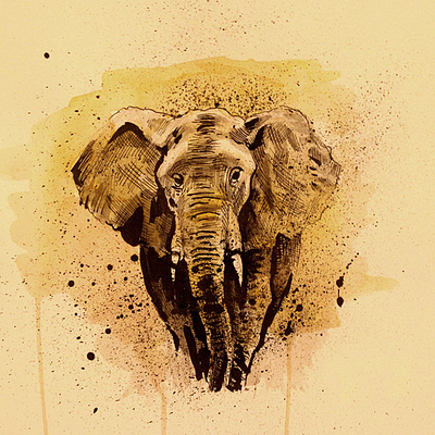 Elephant animal elephant ink watercolor