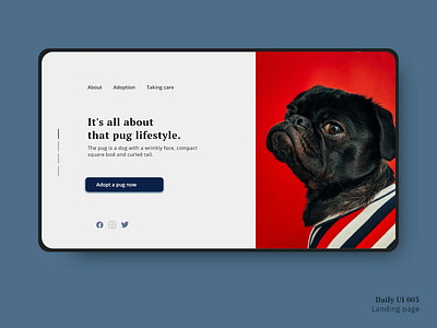 Daily ui 003 adobe xd daily ui daily ui 003 design homepage landing page pugs