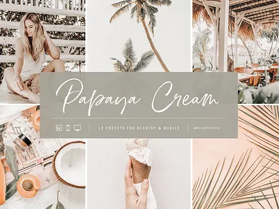 Papaya Cream Lightroom Presets by Wilde Presets branding cream desktop presets editorial editorial presets fashion fashion presets illustration lightroom preset lightroom presets luxury mobile presets palm tree palms peach photography pink tropical ui ux