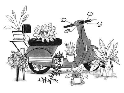 Inktober Day 27 art cute drawing houseplants illustration ink inktober plants texture vespa