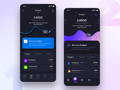 Budget setup Home Dark Mode (Version 1 + 2) account app budget country darklight graph illustration ios neel prakhar savings settings sharma sketch svg svg icons ui user vector web