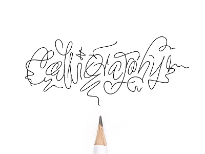 Calligraphy calligraphy design lettering logo logotypes mural swashes typography vector