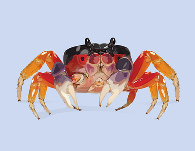 Halloween Crab animal animal illustration art crab halloween illustration illustrator vector vector illustration