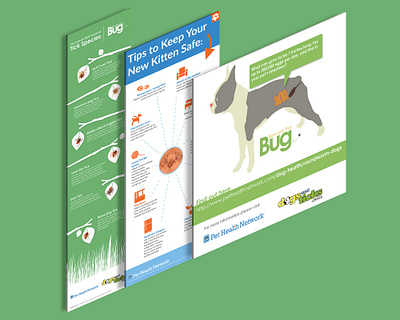 Infographics brand cat dog graphicdesign infographics vectorart