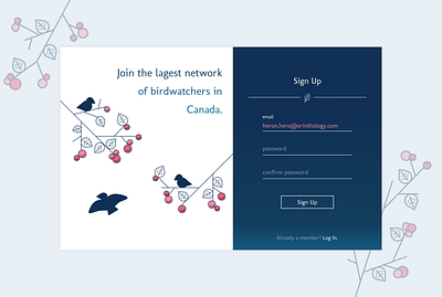Sign Up bird dailyui design desktop log in sign up signup ui vector web