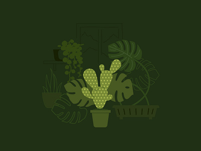 home plants cactus flat illustration green houseplants illustration monochrome monstera plants vector