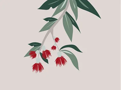 Eucalyptus drawing eucalyptus graphic illustration illustrator plants vector