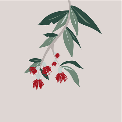 Eucalyptus drawing eucalyptus graphic illustration illustrator plants vector