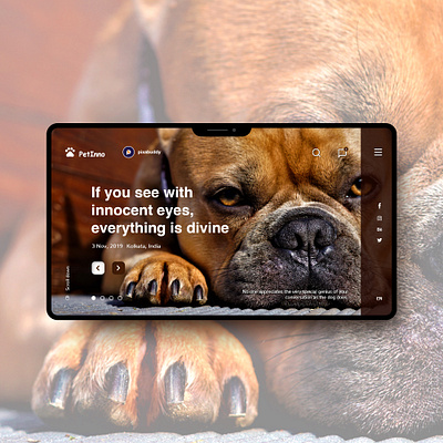 PetInno UI behance design dribbble instagram logo logodesign uidesign uidesigner uidesing uitrends uiux ux uxdesign uxresearch uxui web webdesign webdesigner webdeveloper webdevelopment