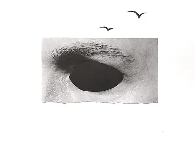 eye air bird birds collage collage art craft cut design eye eyes fly freedom handmade illustraion illustrator look looking papper