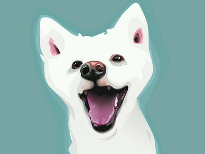 Baste dogs illustration portrait puppy vector