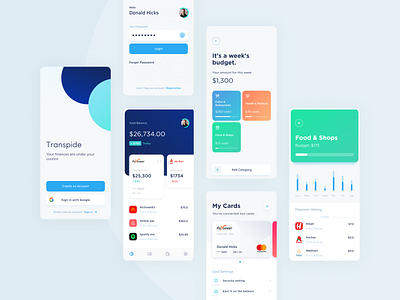 Transpide Application app app design application clean color design finance icon ios statistic ui ux