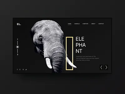 Elephant Minimal Inspiration Web Design black minimal designinspiration elephant inspiration interaction interactiondesign minimal minimal landing page minimal web design minimalism ui ui design uidesign uitrends uiux user interface ux uxdesign uxui web