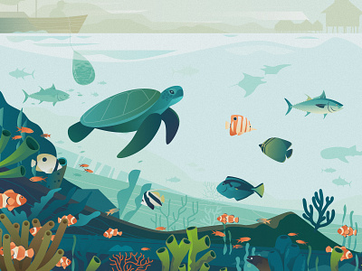 The Coral Triangle Initiative animals asia beach butterflyfish clownfish coral coral reef coral triangle fish illustration manta manta ray pacific reef sea tuna turtle