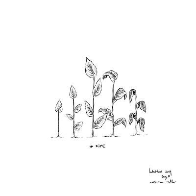 Ripe black and white comic digital drawing growth illustration illustration art inktober inktober2019 ipadpro old painting plant ripe