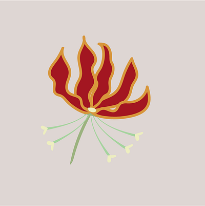 Fire Lily drawing firelily graphic illustration illustrator plants vector