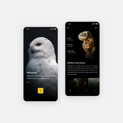 National geographic UI Design App app application design minimal minimalist sketch ui ux web website