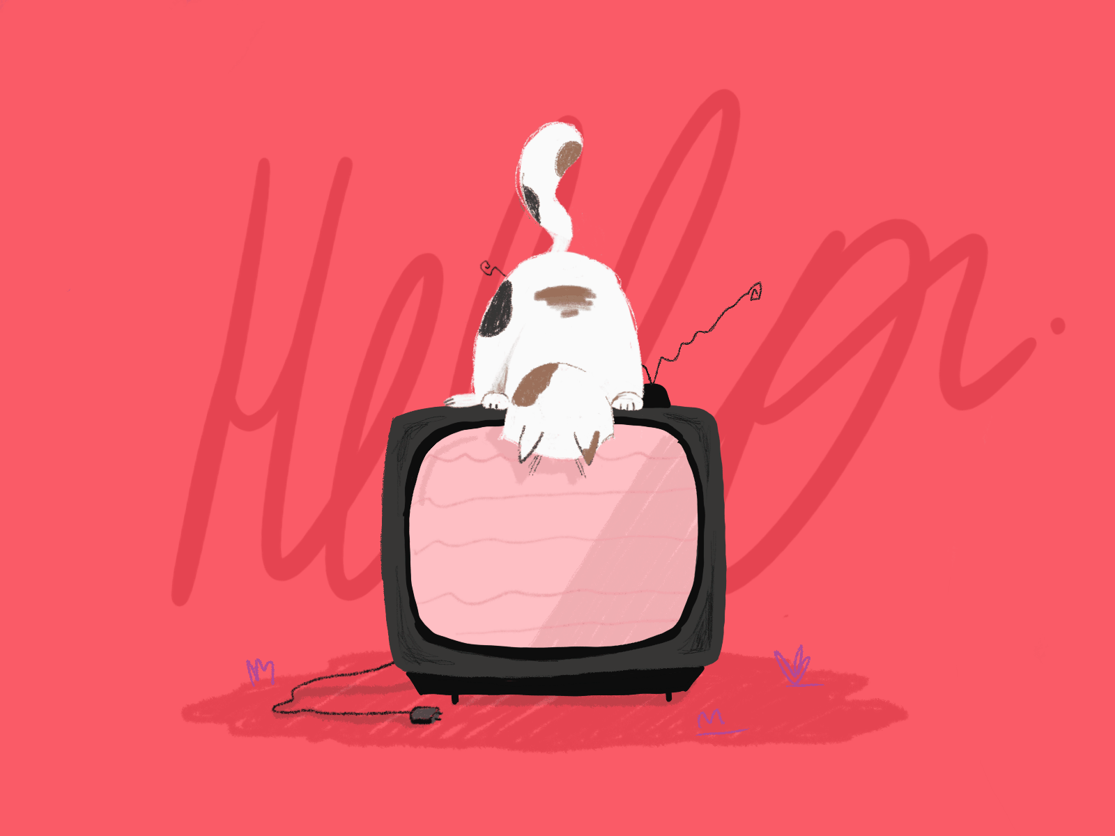 Hello Dribbble! cat first shot gif animation hello dribble illustration ipadpro procreate roughanimator