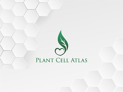 Logo Design Minimalist bussines design logo logo design logodesign logos logosai logoset logosketch logotype vector