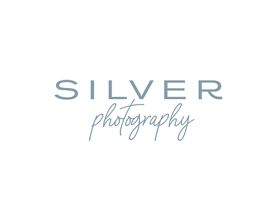 Silver Photography Logo Option