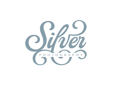 Silver Photography Logo Option