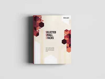 SSS Cover book art book cover book illustration