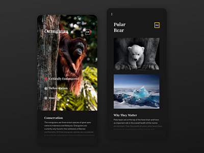 More information - Mobile App app application concept mobile national geographic ui user experience ux