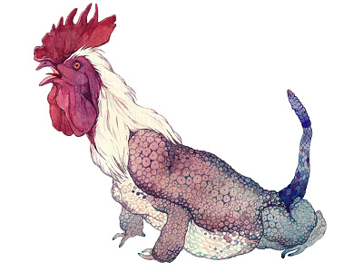 Basilisk basilisk bird character chicken chimera cock creature frog illustraion rooster snake toad watercolor watercolour