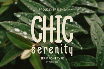 Chic Serenity - Serif Font Type animation app bear branding bunny character charm children design font girl graphic design icon illustration logo pattern typography ui ux vector